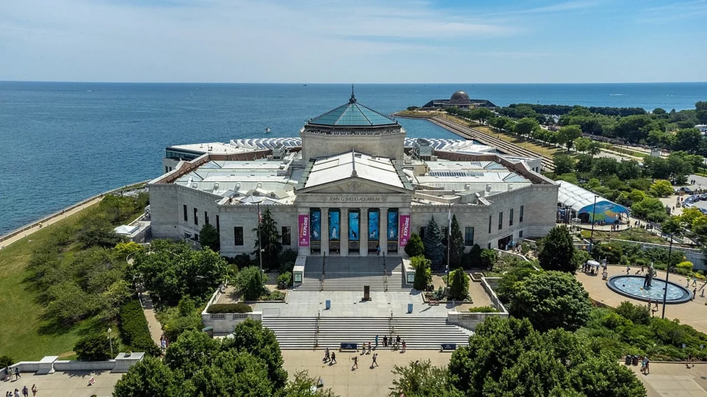 Shedd Aquarium